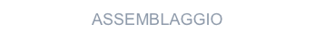 ASSEMBLAGGIO